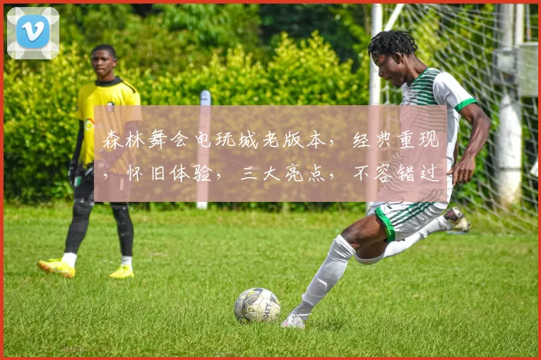 森林舞会电玩城老版本，经典重现，怀旧体验，三大亮点，不容错过