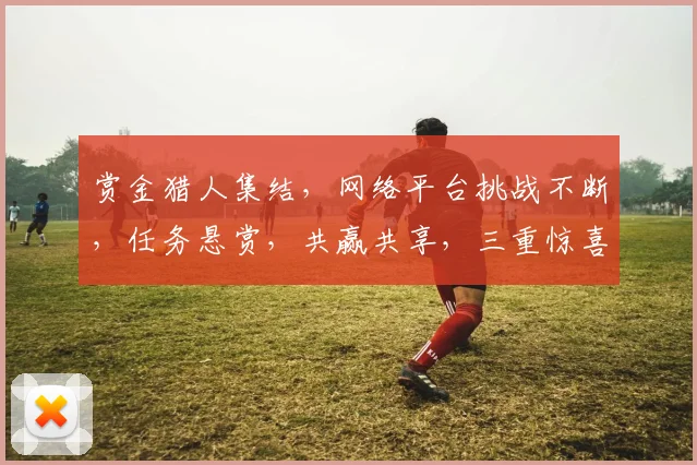 赏金猎人集结，网络平台挑战不断，任务悬赏，共赢共享，三重惊喜等你来