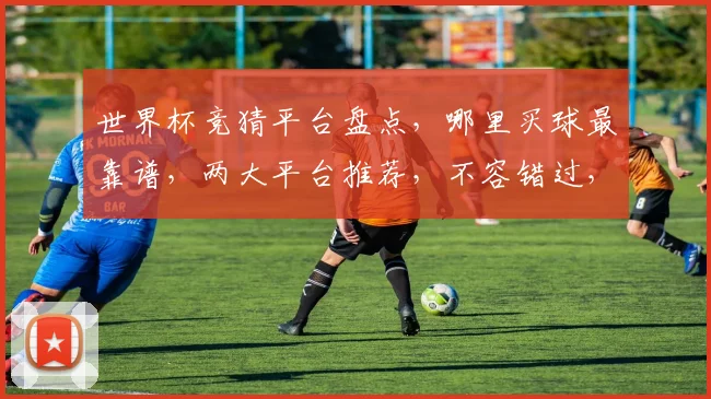 世界杯竞猜平台盘点，哪里买球最靠谱，两大平台推荐，不容错过，