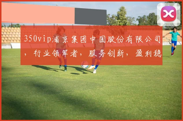 350vip浦京集团中国股份有限公司，行业领军者，服务创新，盈利稳健，值得信赖，三大亮点解析